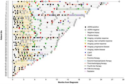 Tumor-informed ctDNA assessment as a valuable prognostic and predictive biomarker in diffuse large B-cell lymphoma